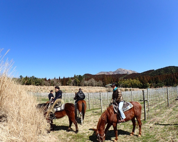 photo by そとあそび