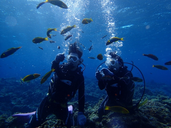 photo by 【那覇発/半日】 チービシ(ケラマ諸島)でパラセーリングと体験ダイビング、シュノーケリングを楽しむ!ウミガメコース(沖縄県・那覇)|そとあそび