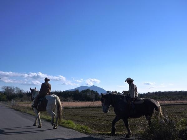 関東連山を眺めながらの乗馬 photo by そとあそび