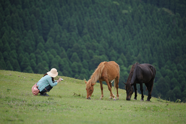 photo by Koji Ishii