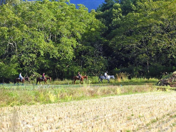 photo by そとあそび