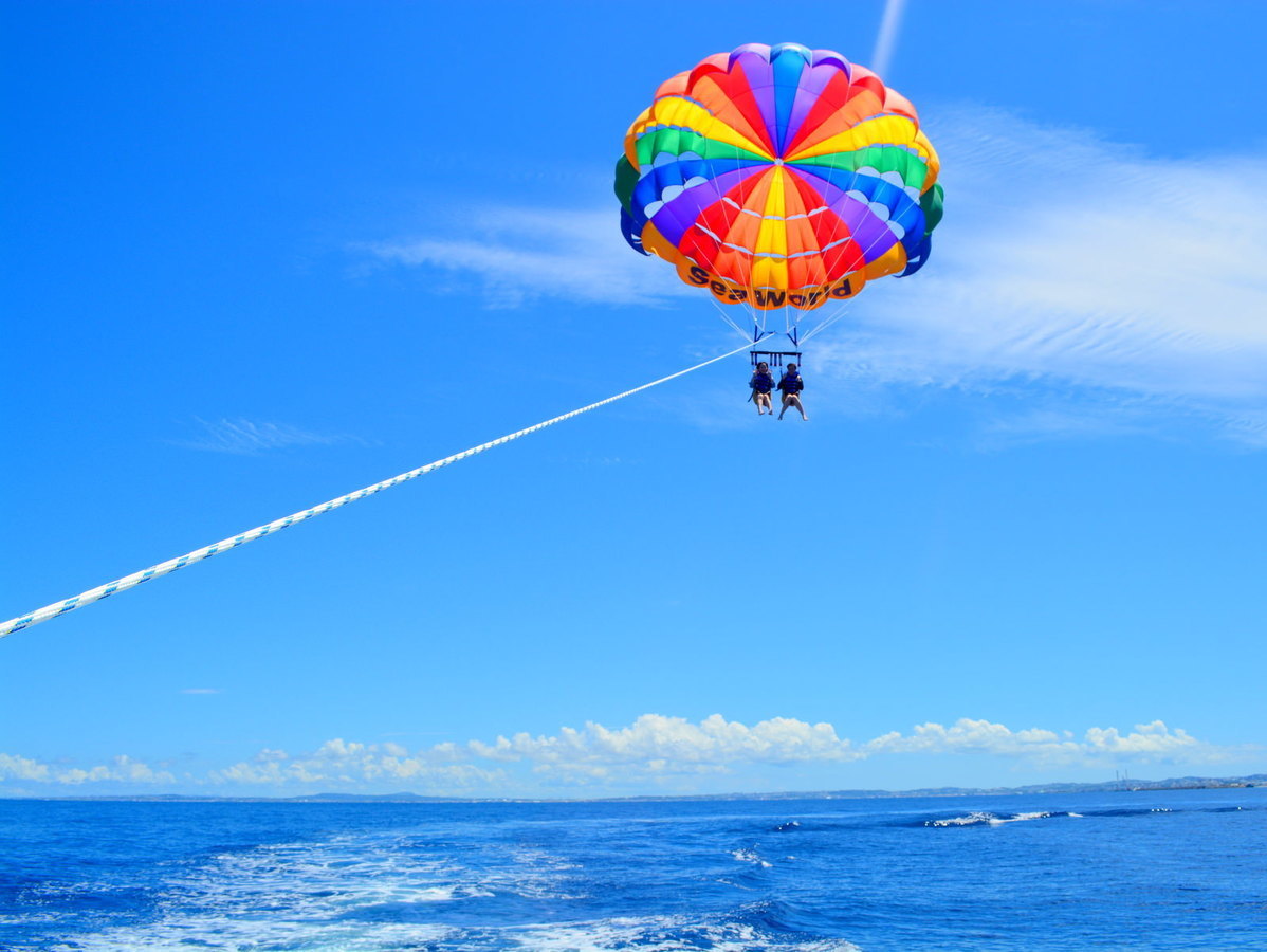 ソース画像を表示