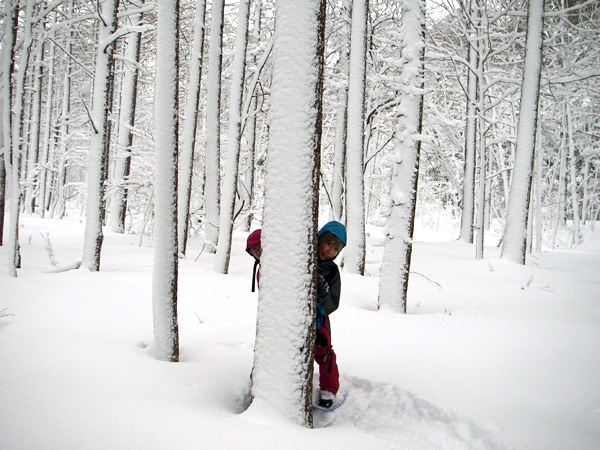 photo by そとあそび
