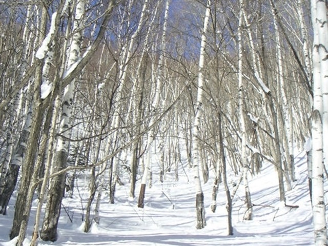 photo by そとあそび