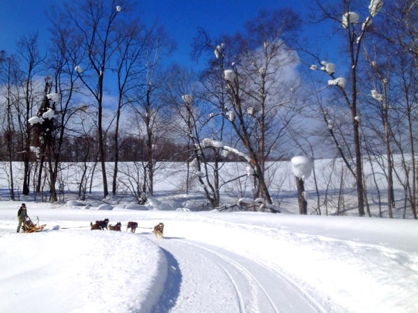 photo by そとあそび