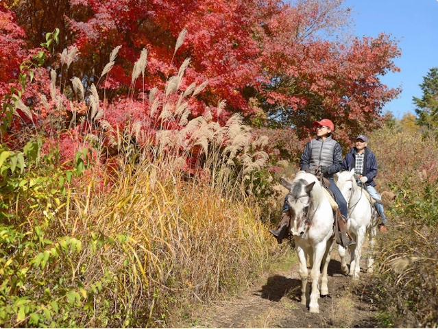 真っ赤に染まった見事な紅葉!(10月中旬以降)photo by そとあそび