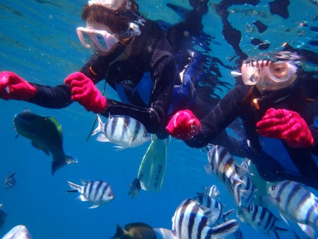 海面近くまで魚たちが寄ってくる!photo by そとあそび