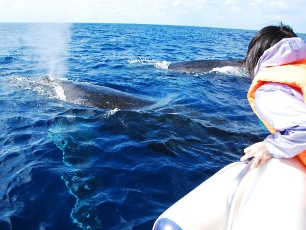 photo by そとあそび
