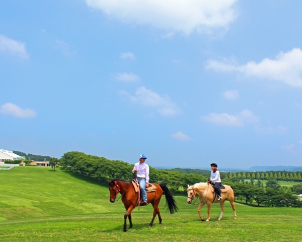 photo by 那須野ヶ原ホーストレッキング(乗馬)/アイランドホースリゾート那須|そとあそび