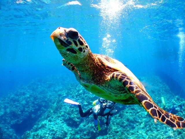 photo by そとあそび