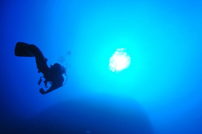 photo by divedog