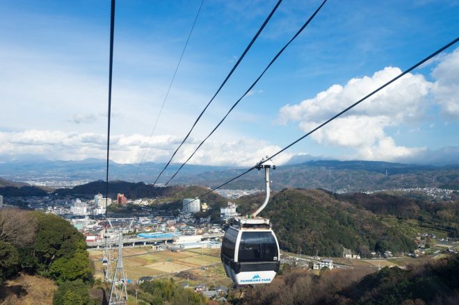 photo by T-Kai