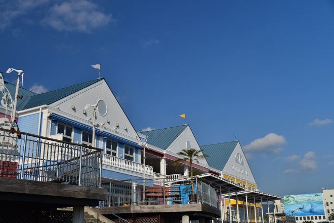 photo by Yoshitaka