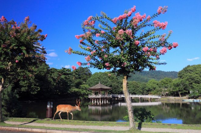 photo by masaaki