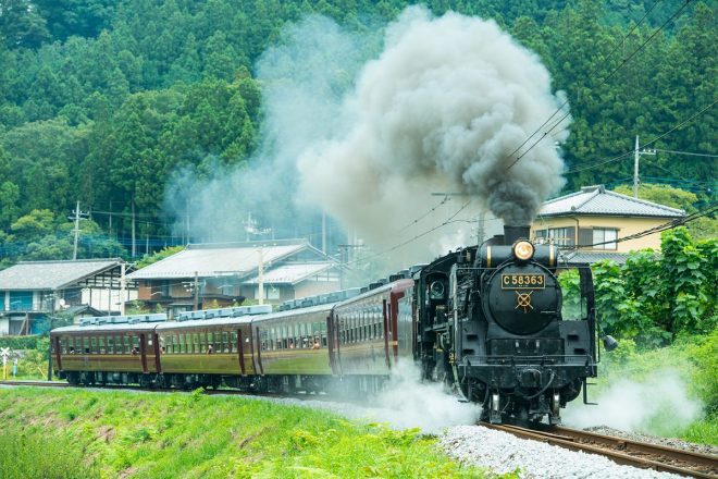 photo by 河野信紀