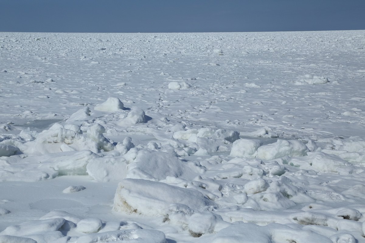 知床の神秘 流氷の秘密 楽しみ方講座 Sotoasobi Life そとあそびライフ Sotoasobi Life そとあそびライフ