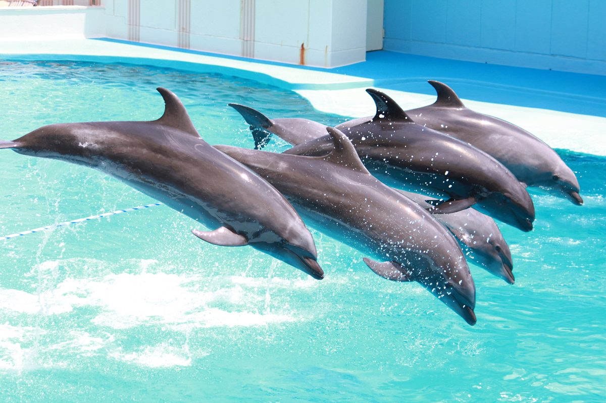 ゴールデンウィーク Gw に行きたい東海のお出かけスポット12選 Sotoasobi Life そとあそびライフ Sotoasobi Life そとあそびライフ