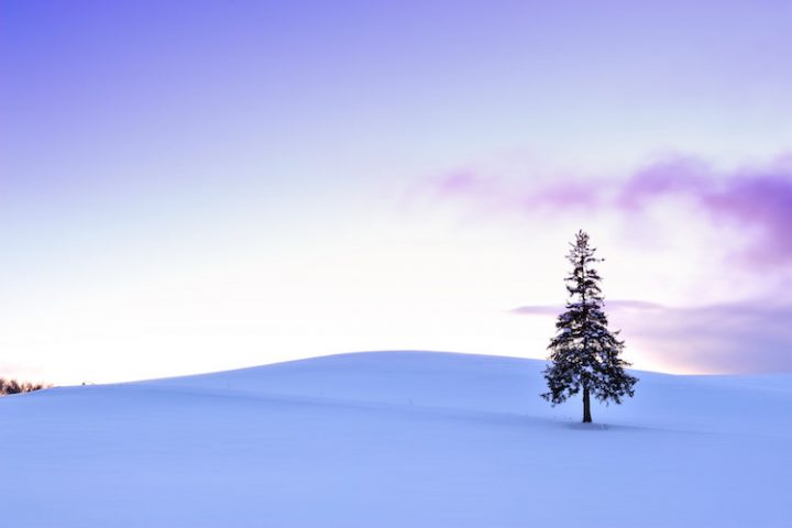 富良野の観光スポット4選 冬 Sotoasobi Life そとあそびライフ