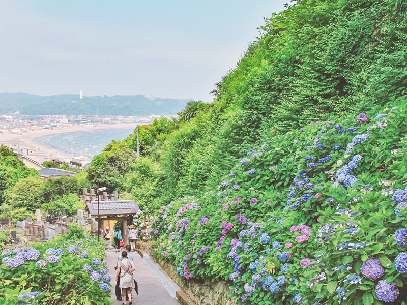 長野県 軽井沢観光で子供と思いっきり遊べるスポット12選 Sotoasobi Life そとあそびライフ