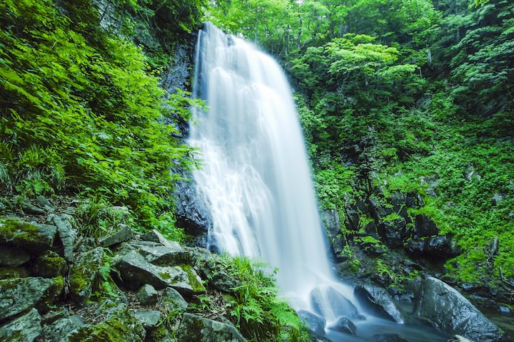 国内初の直営店 風景写真ポスター アートポスター インテリア おしゃれ 癒やし 新緑 福島県 裏磐梯 初夏の長瀬川 Osp 103 Qdtek Vn