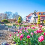 近場で満喫！関東の日帰りで楽しめるお出かけスポット23選！