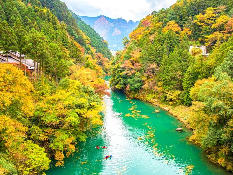 ペットと一緒に楽しめる関東のとっておきスポット レジャー22選 Sotoasobi Life そとあそびライフ ペットと一緒に楽しめる関東のとっておきスポット レジャー22選 Sotoasobi Life そとあそびライフ