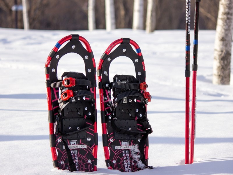 そこが知りたい スノーシューの服装と必要な持ち物 Sotoasobi Life そとあそびライフ Sotoasobi Life そとあそびライフ