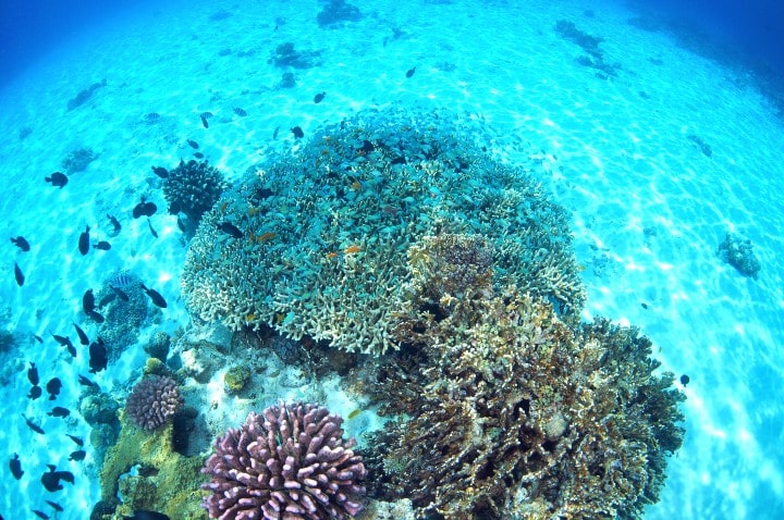 冬こそ行きたい南国リゾート 沖縄県の人気離島記事まとめ Sotoasobi Life そとあそびライフ Sotoasobi Life そとあそびライフ