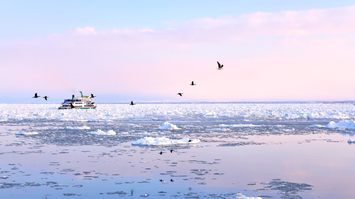 流氷にワカサギ釣り 北海道の3月をアクティブに楽しむ観光スポット10選 Sotoasobi Life そとあそびライフ Sotoasobi Life そとあそびライフ 流氷にワカサギ釣り 北海道の3月をアクティブに楽しむ観光スポット10選 Sotoasobi Life そとあそびライフ Sotoasobi Life そとあそびライフ