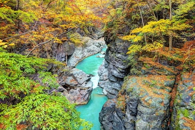 保存版 関東近郊で本格バンジージャンプができるベストスポット7 Sotoasobi Life そとあそびライフ