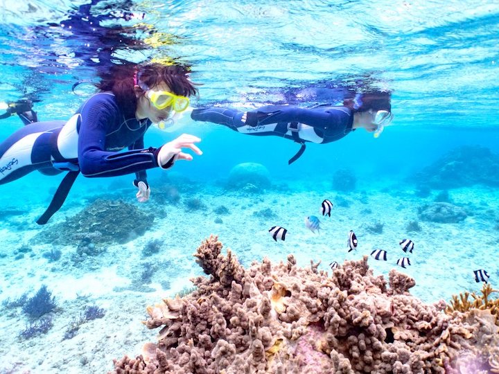 宮古島 子連れシュノーケリングで知っておきたい 海の危険生物たち Sotoasobi Life そとあそびライフ