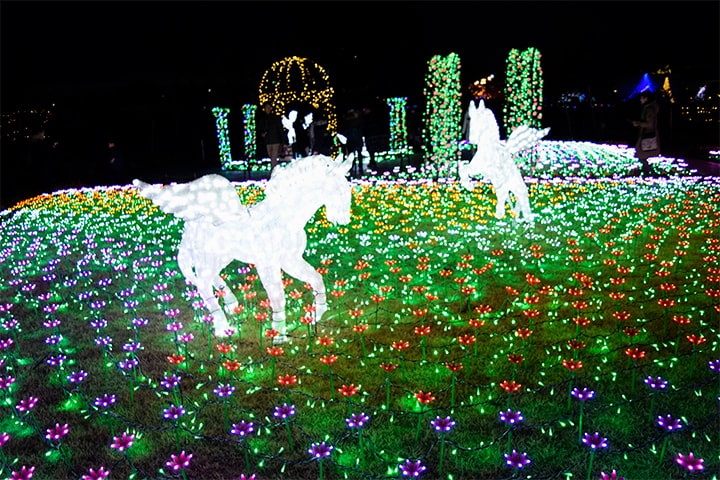 冬の関東で遊ぶならココ 絶対行きたい観光スポット22選 Sotoasobi Life そとあそびライフ