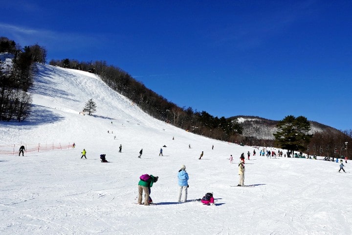 関東で子供が喜ぶ雪遊びスポット12選 Sotoasobi Life そとあそびライフ