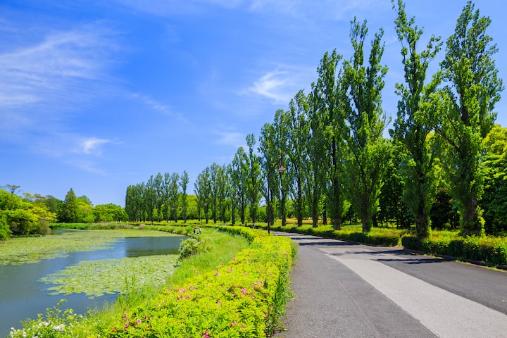 思いついたらgo 東京で自然を楽しめる癒やしスポット15選 Sotoasobi Life そとあそびライフ Sotoasobi Life そとあそびライフ