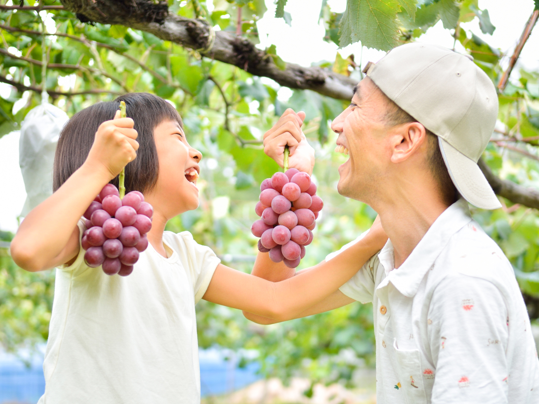 関東のおいしい果物狩りスポット19選 秋の味覚を満喫しよう Sotoasobi Life そとあそびライフ 関東のおいしい果物狩りスポット19選 秋の味覚を満喫しよう Sotoasobi Life そとあそびライフ
