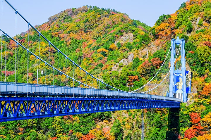 紅葉 バンジージャンプが楽しめる 関東のおすすめスポット5選 Sotoasobi Life そとあそびライフ