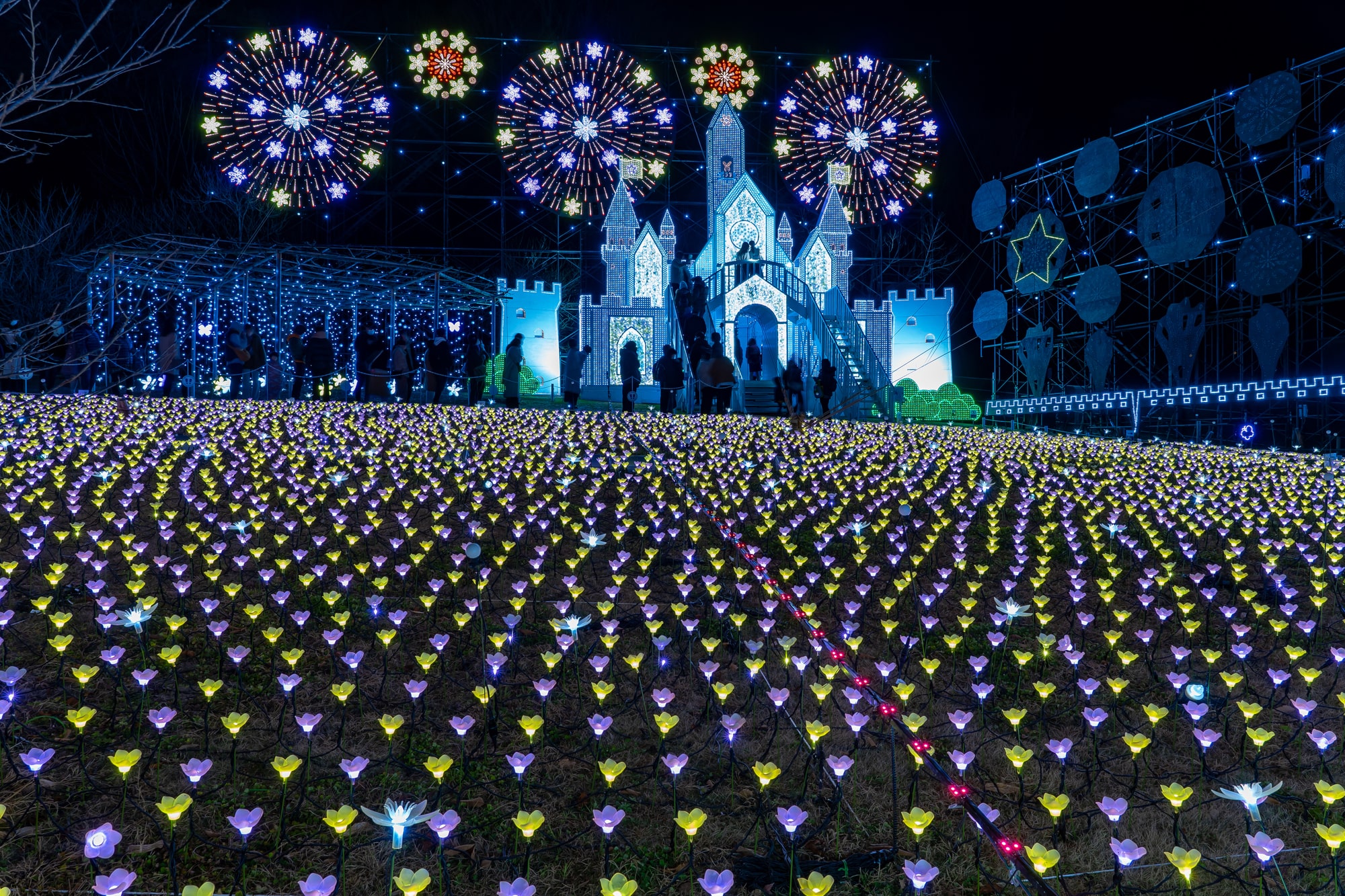 冬にお出かけするならココ 冬の関東お出かけスポット11選 Sotoasobi Life そとあそびライフ