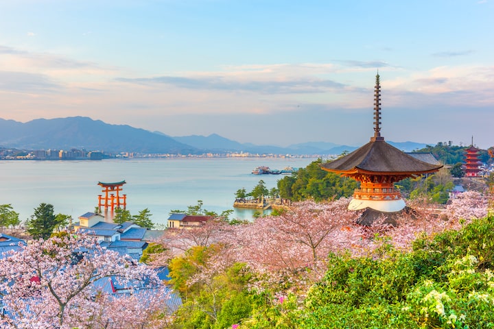 全国の桜の名所25選 絶景お花見スポットを巡ろう Sotoasobi Life そとあそびライフ