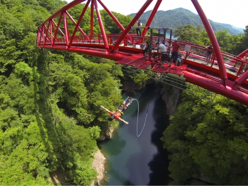 photo by 【最安値】関東のバンジージャンプの体験ツアー|そとあそび