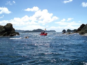 photo by そとあそび