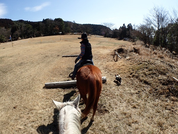 photo by 《40分ホーストレッキング》手軽に楽しむ本格ホーストレッキング!(宮崎県・都城・霧島)|そとあそび