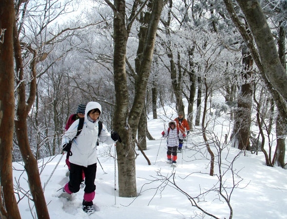 photo by 【ガイドおすすめ】 関西の秘境・芦生&三国峠登頂コース (ランチ付)(滋賀県・高島)|そとあそび