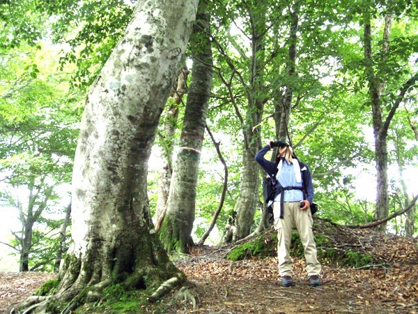 photo by そとあそび