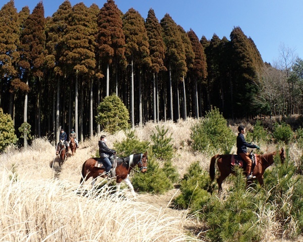photo by そとあそび