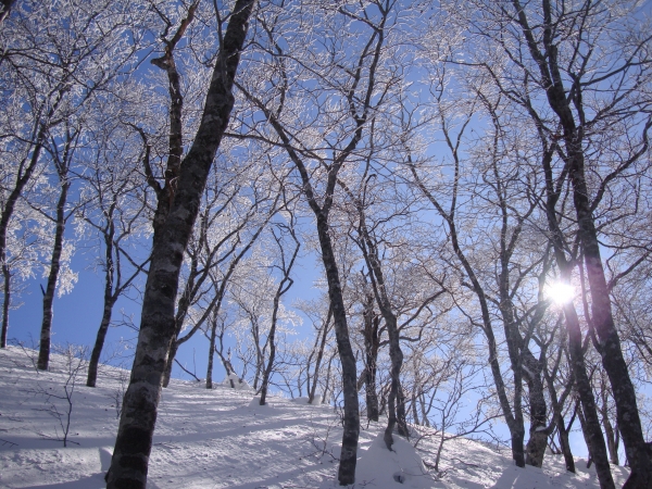 photo by そとあそび