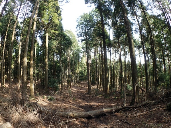 photo by そとあそび