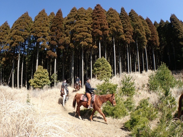 photo by 《80分ホーストレッキング》 森・草原・眺望、森林探検エリアも楽しめる!霧島の大自然を馬に乗り満喫! (宮崎県・都城・霧島)|そとあそび
