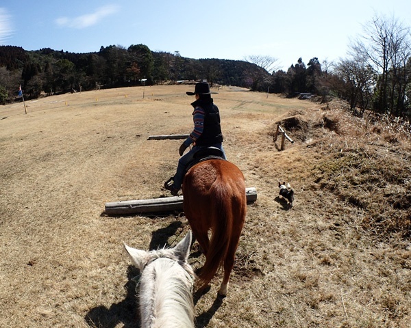 photo by そとあそび