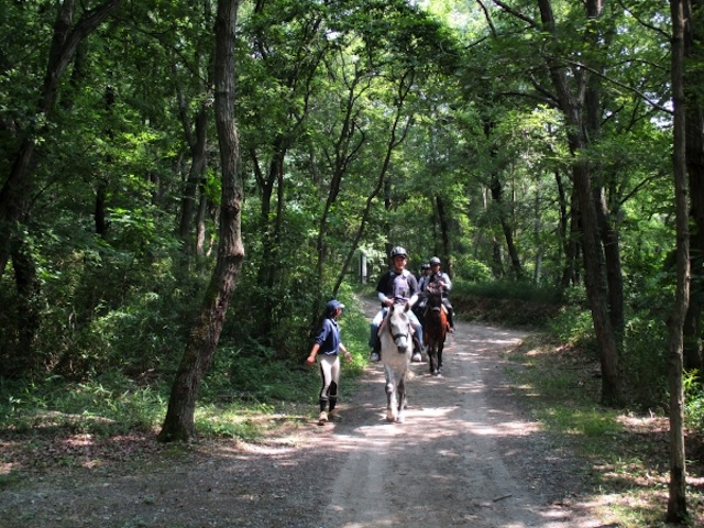 photo by そとあそび