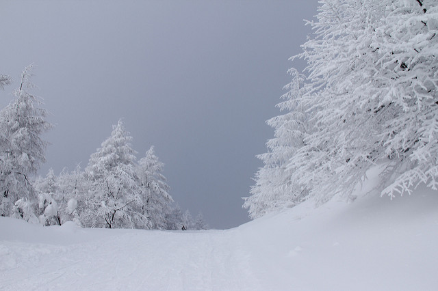 photo by Yoichiro Uno